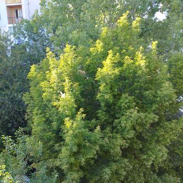 продам 3х к.кв. Варненская 4/5эт.,кирпичн. дома,балкон