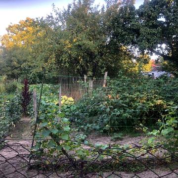 Будинок не далеко від Мукачева