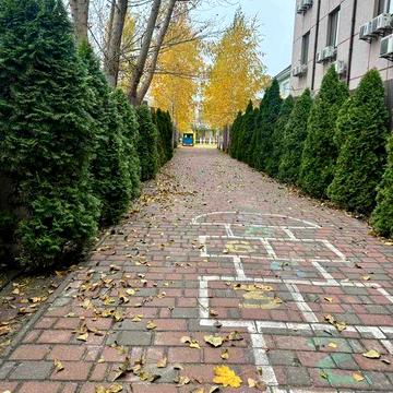 Продаж будинку 270 м.кв та ділянки 6 соток. Під бізнес або житло.