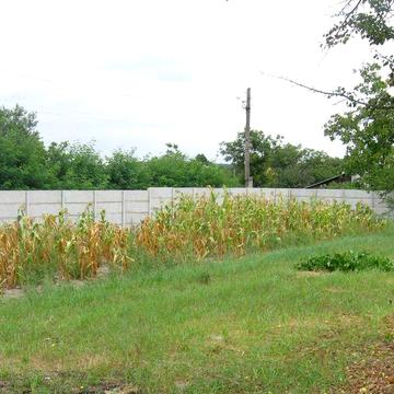 Продам участок 25 соток в с. Вишенки или обмен на квартиру в Киеве