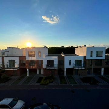 Липові роси