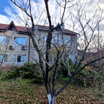 Продаж дуплекса 170 м2 ділянка 14 сот. Козин "Червона Рута" Відеоогляд