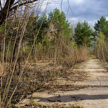 Матвіївка, Золотоніський, Черкаська область 130000.0 USD