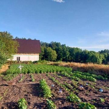 Продається будинок в с.Хлипнівка