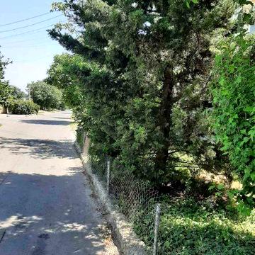 Срочно! Дом на Таирова 9 ст. Люстдорфской дороги