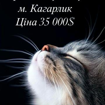 Продаж будинку м. Кагарлик