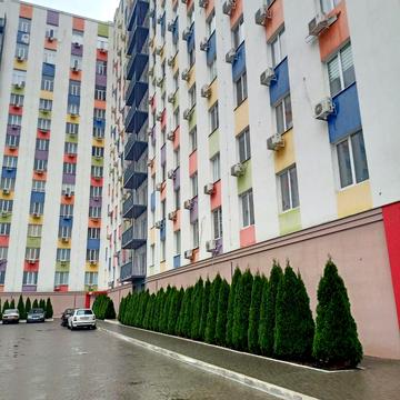 Шевченківський пров., 38