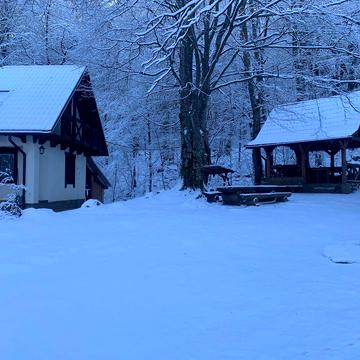 Котедж під лісом