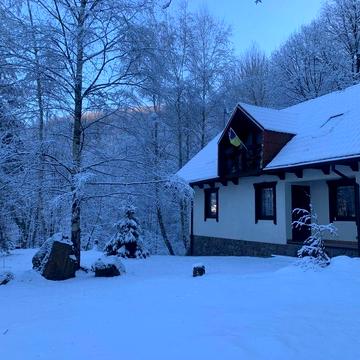 Котедж під лісом