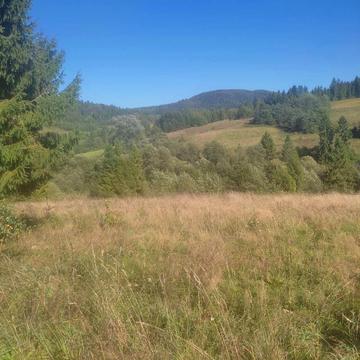 Верхнє Висоцьке, Самбірський, Львівська область 70000.0 EUR