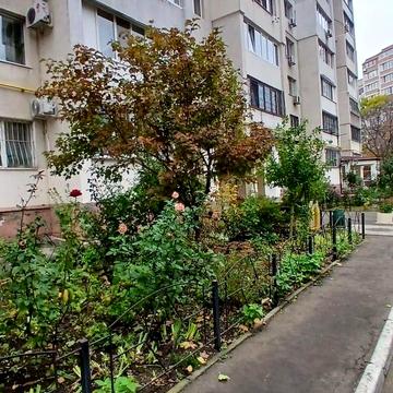 Добровольців вул. (Маршала Говорова), 1/2