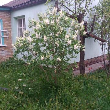 Продаж 3к Дім Нова вулиця