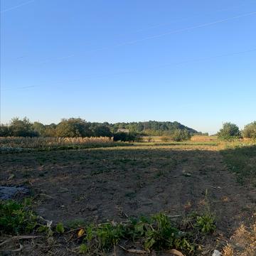 Деребасівська