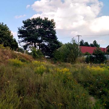 Глеваха, Фастівський, Київська область 35000.0 USD