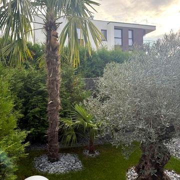 Продам котетдж жк Шервуд (Sherwood) біля Словацького кордону