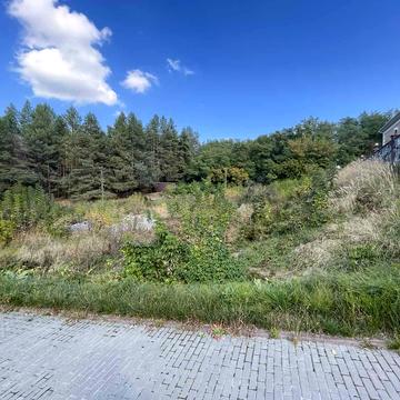 Старі Безрадичі, Обухівський, Київська область 38000.0 USD