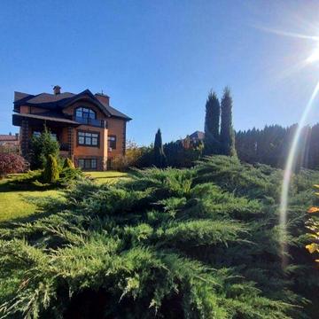 Здам будинок Обухівський район Романків