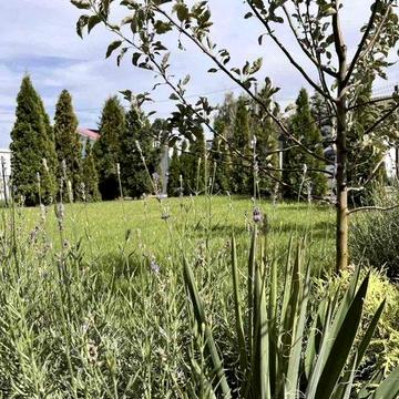 Оренда Будинку | ТаунХауса | Є Цокольний Поверх | Газ | є Відео