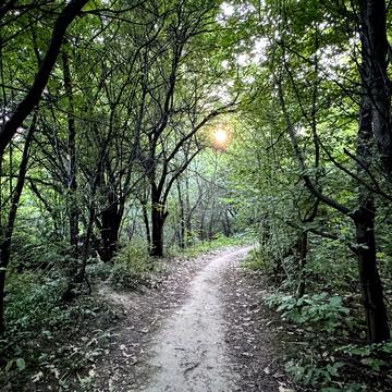 Ланова вул.