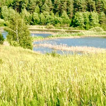 Добростани, Яворівський, Львівська область 10000.0 USD