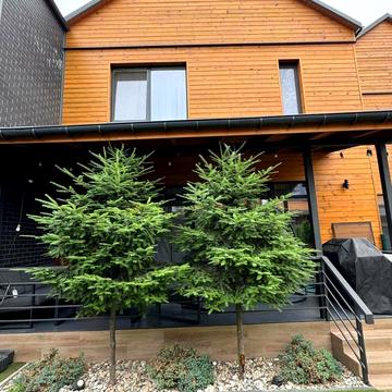 Гаванська вул., 9-Я