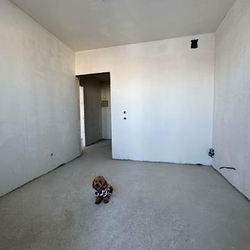 Бориса Гмирі вул., 23