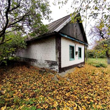 Центральна