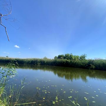 Прибережна вул.