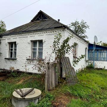 Продам будинок у центрі мальовничого села Веселий Кут , Київська обл