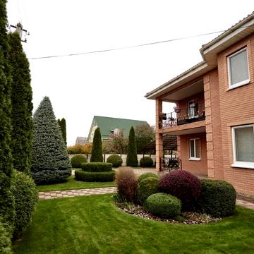 Центральна вул.