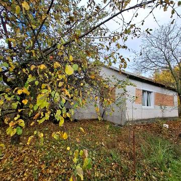 Будинок з великою територією