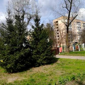 Продам теплу 2-кiмн.квартиру в санаторнiй зонi