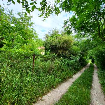 Продам дачу біля Полтави