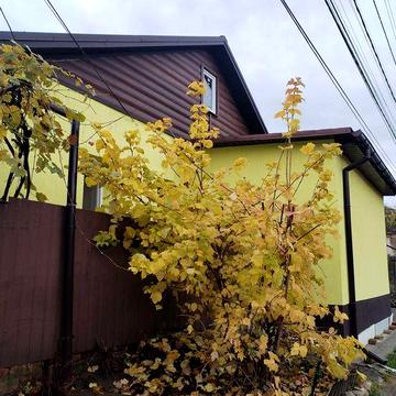 Продам будинок в центрі м.Суми. Р-н вул. Петропавлівська. А/О, ремонт.