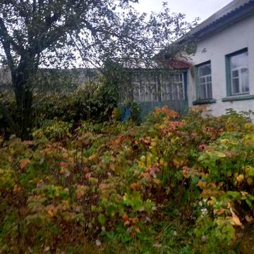 Продається будинок в с.Тулиголове