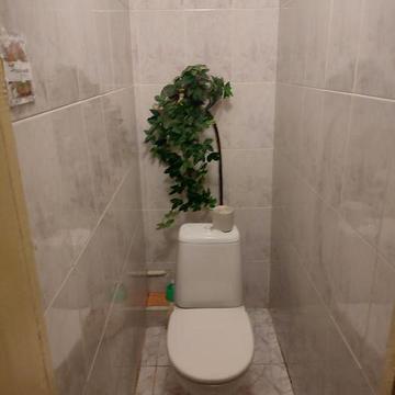 Здам 2 кімнатну квартиру по вул. Соборності 12