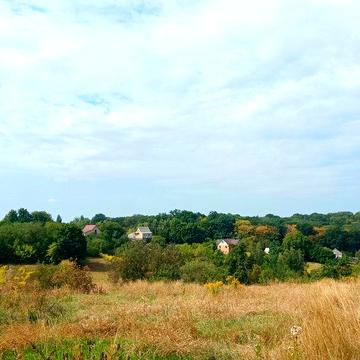 Продам земельну ділянку в с. Шкарівка.( з будиночком)