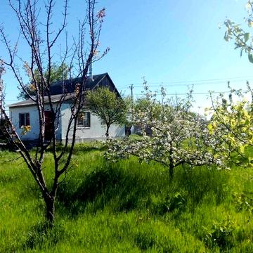 Сдам дом с. Спасское (собственник)