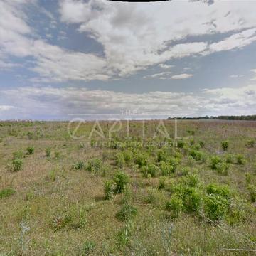 Сільська рада, Софіївська борщагівка, Бучанський, Київська область 42000.0 USD