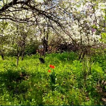 Продаж 5к Дім 1-го Травня вулиця