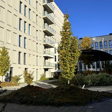 Зелена вул., 151