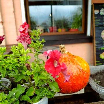 Квартира 3комнатная с ремонтом. Сертификат!