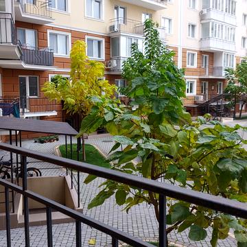 Люстдорфська дорога вул., 100в