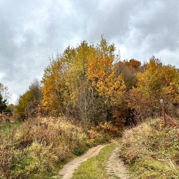 Бірки, Яворівський, Львівська область 50000.0 USD