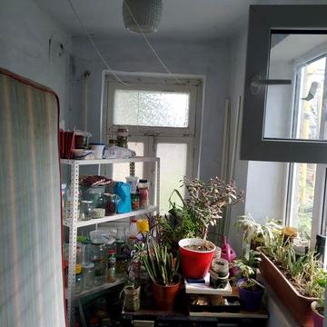 Квартира на земле