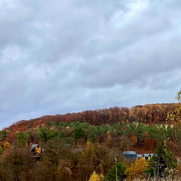 Бірки, Яворівський, Львівська область 88000.0 USD