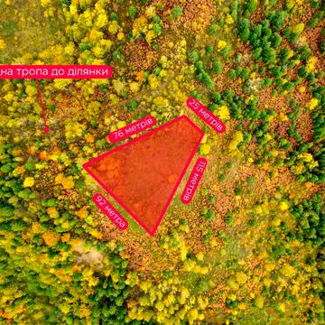 Східниця, Дрогобицький, Львівська область 28000.0 USD