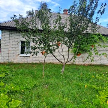 Будинок в селі під житло