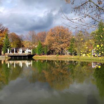 Довгострокова оренда квартири Поляна Сонячне Закарпаття