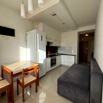 Оренда 1 кім квартири, вул Панча, новобудова